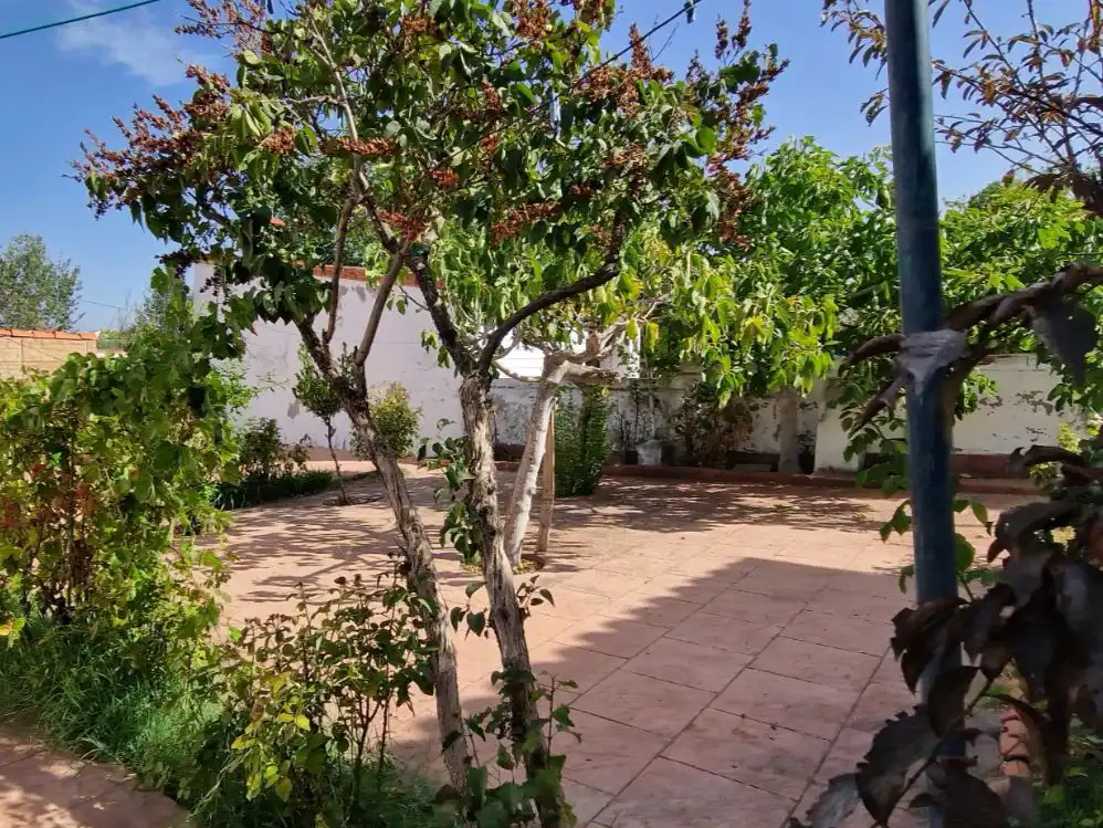 Jardí de Casa o xalet en venda en Prado de Somosaguas - La Finca
