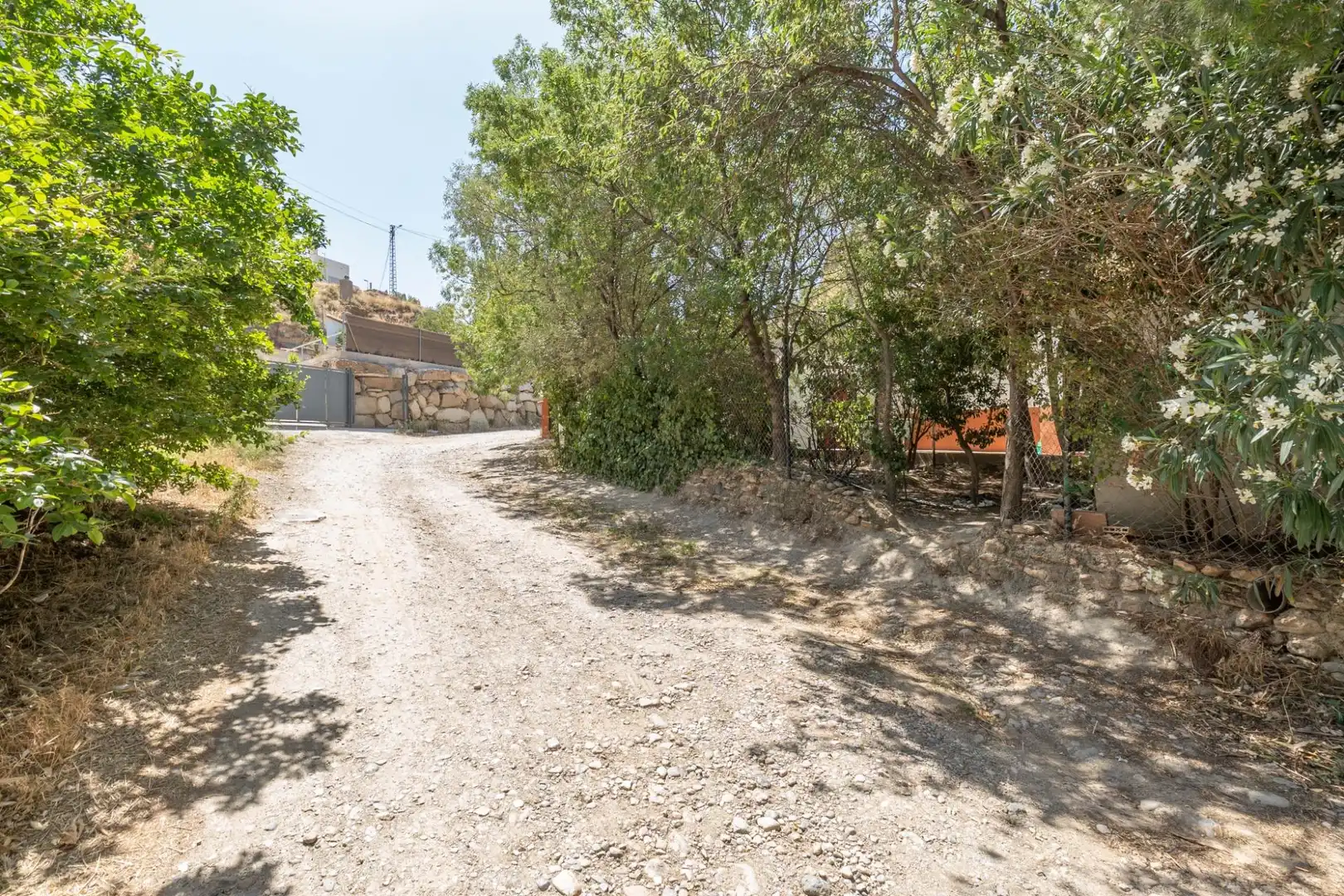 Finca rústica en venta en Caniles
