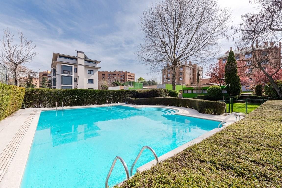 Piscina de Estudi de lloguer en  Madrid Capital amb Aire condicionat, Parquet i Terrassa