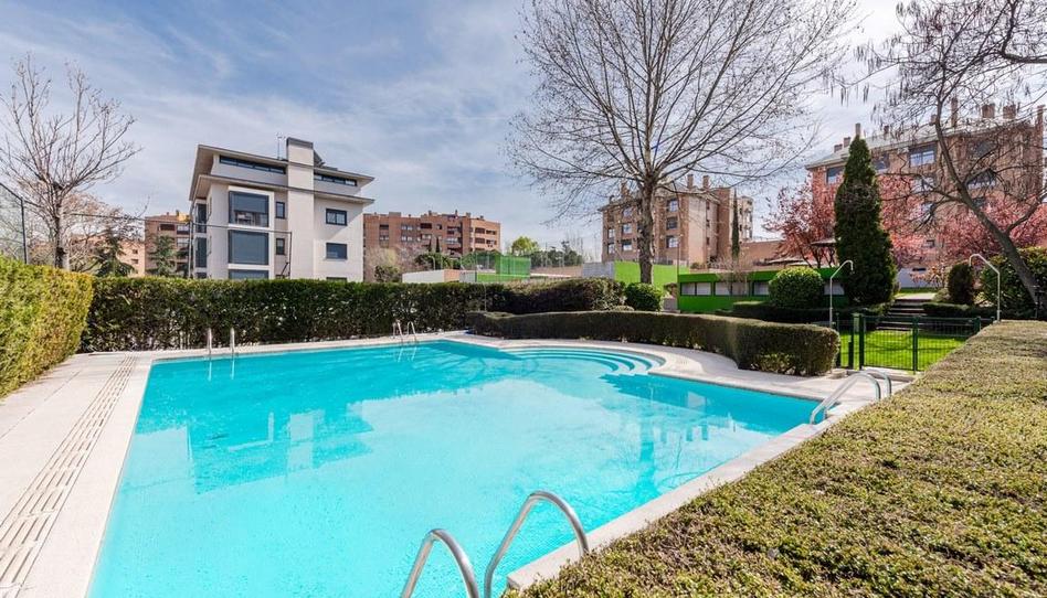 Foto 1 de Estudi de lloguer a Torrecilla del Puerto, 3, San Juan Bautista, Madrid