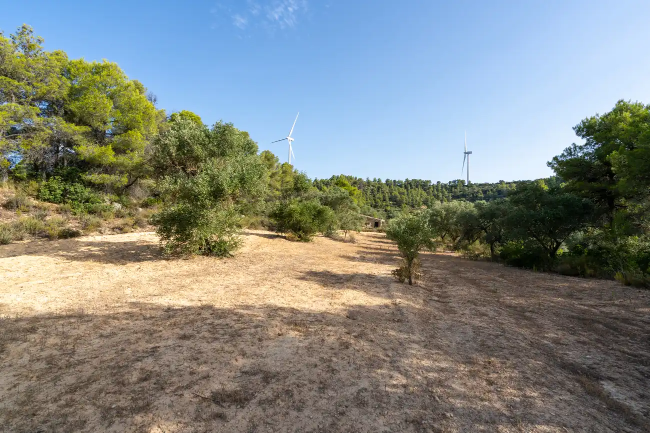 Land for sale in Caseres