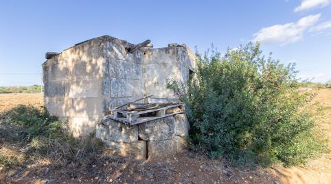 Photo 4 of Land for sale in Ma-3321, Manacor Centre, Manacor