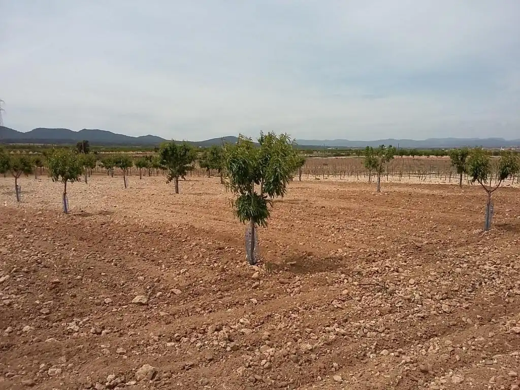 Terreny rústic en venda a CERCA (LA), imagen 9