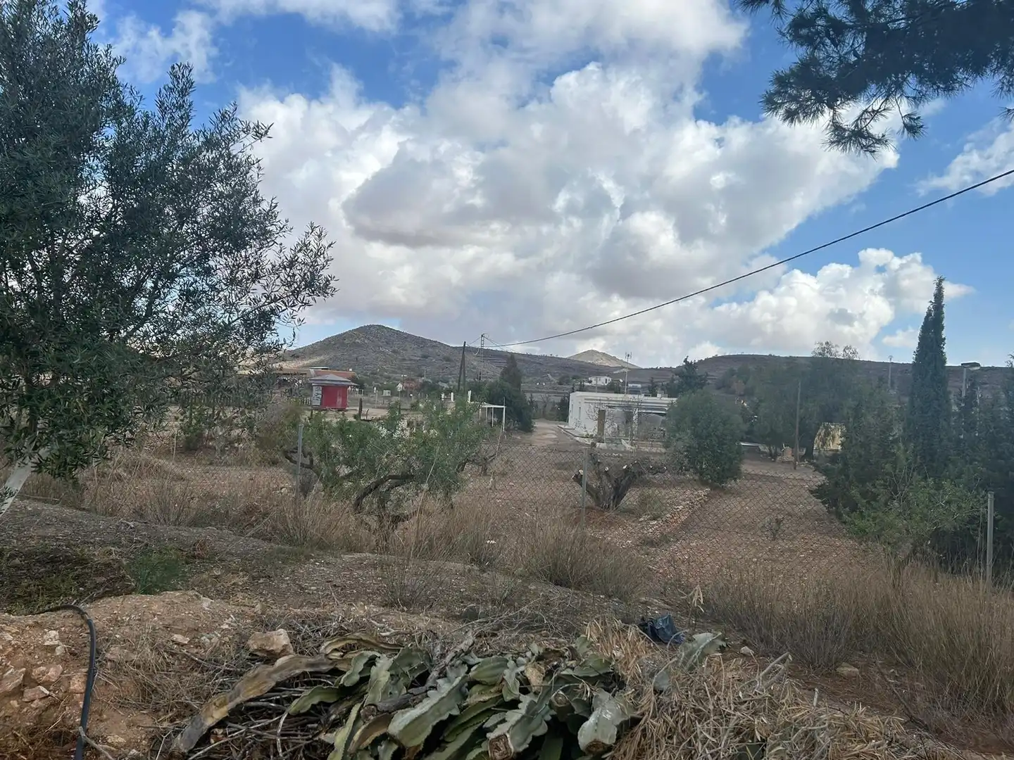 Rustikales Grundstück zum Verkauf in Pedanías Oeste, imagen 22