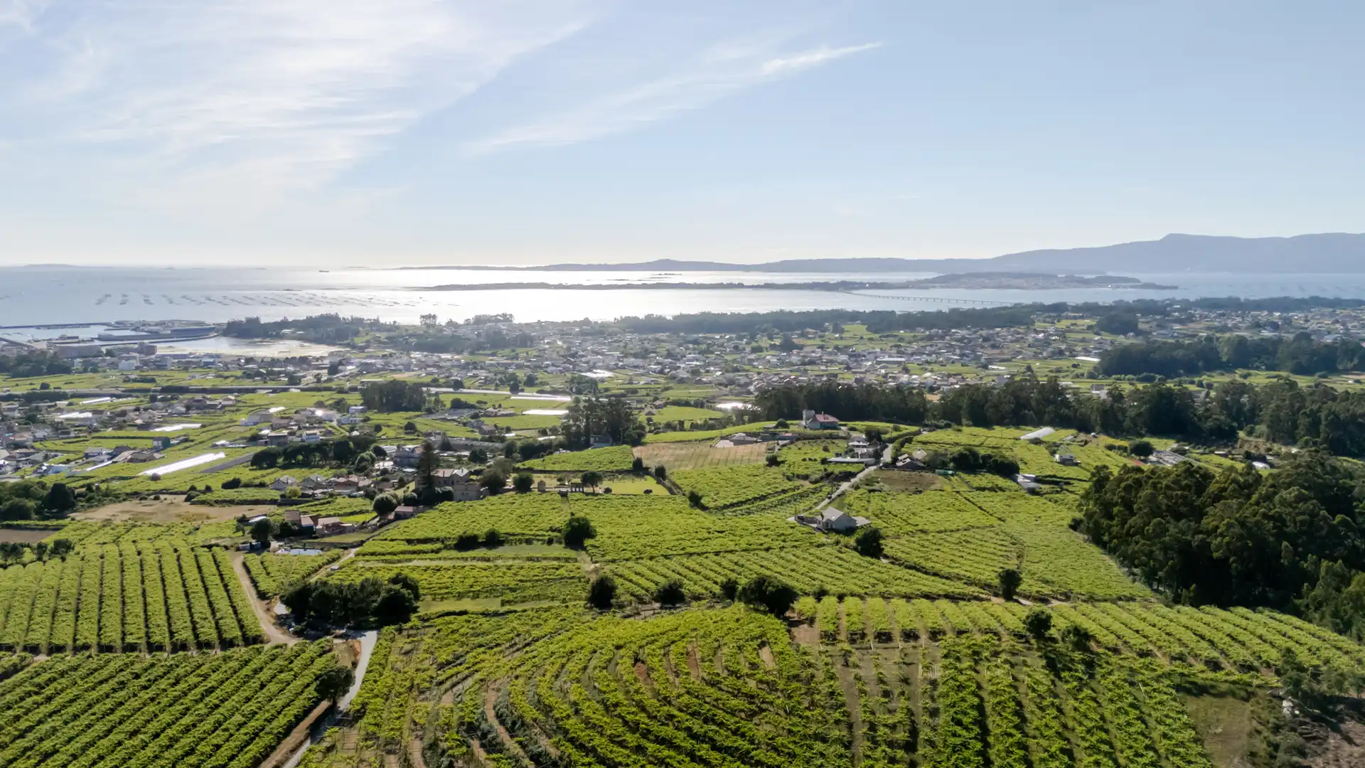 Casa rústica en venda a Vilanova de Arousa, imagen 35