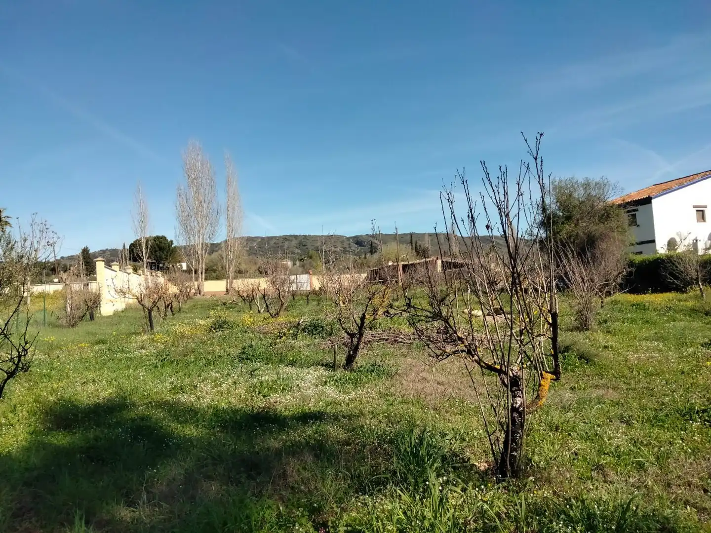 Terreni e lotti in vendita a Partidas Norte, imagen 6