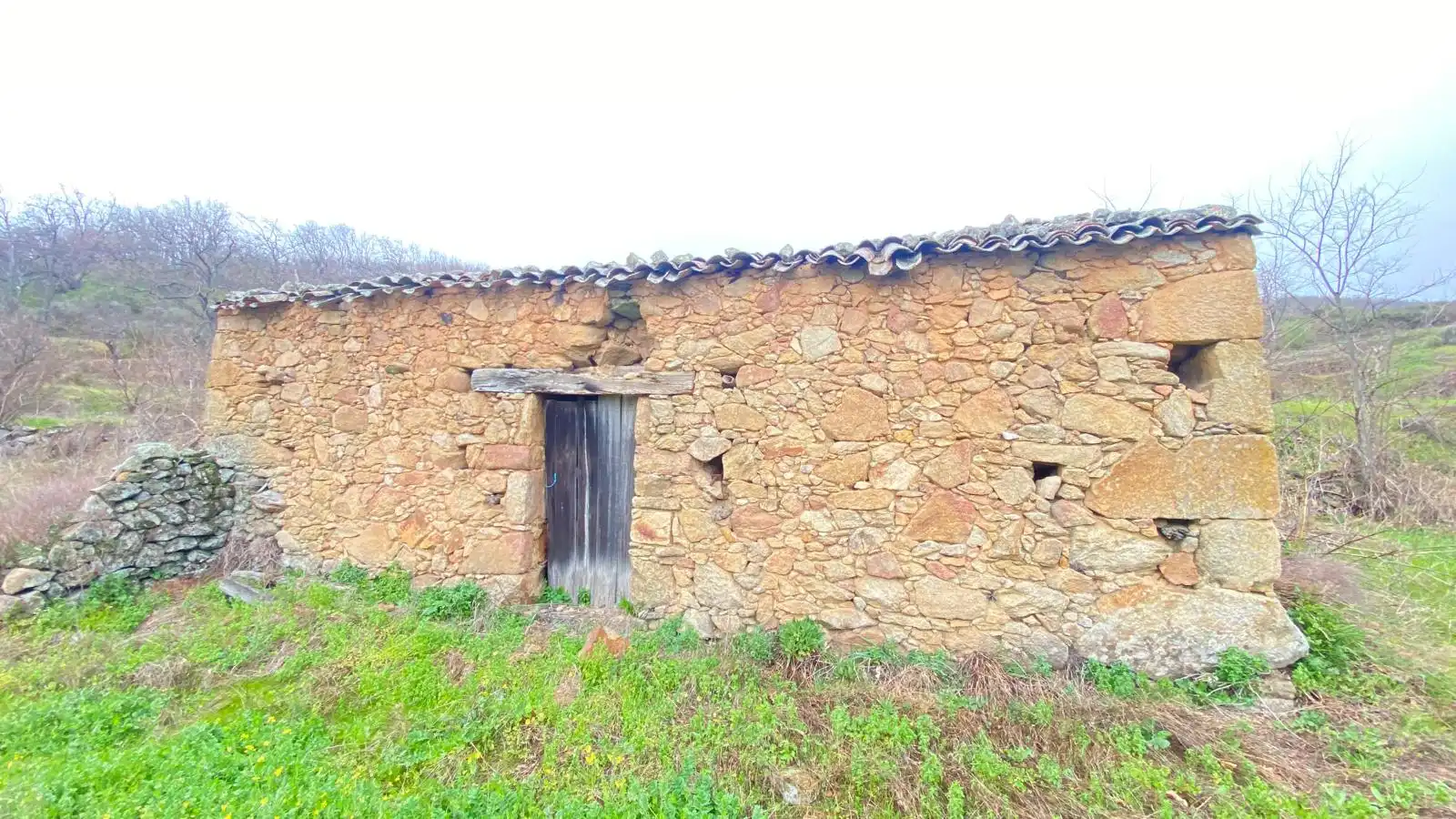 Terreny rústic en venda a Arroyomolinos de la Vera, imagen 3