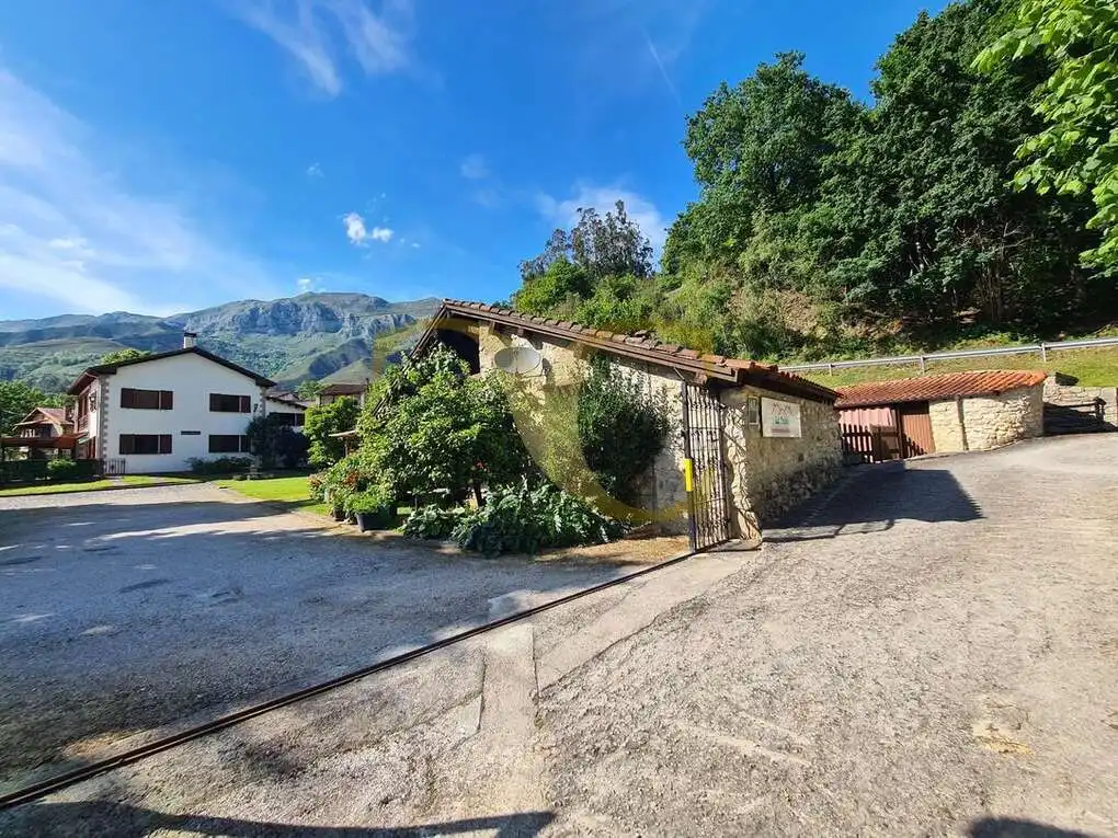 Vista exterior de Casa o xalet en venda en Peñamellera Alta amb Calefacció, Jardí privat i Terrassa