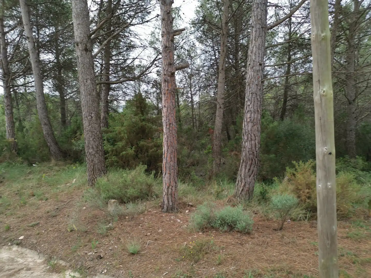 Residencial en venda en El Montmell