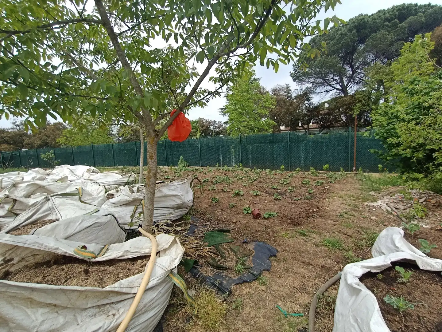 Terreno residencial en venta en Caldes de Malavella, imagen 5