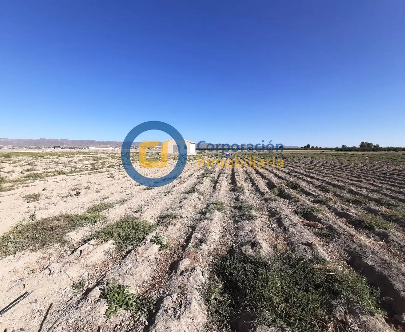 Residential land for sale in Pedanías Centro, imagen 4