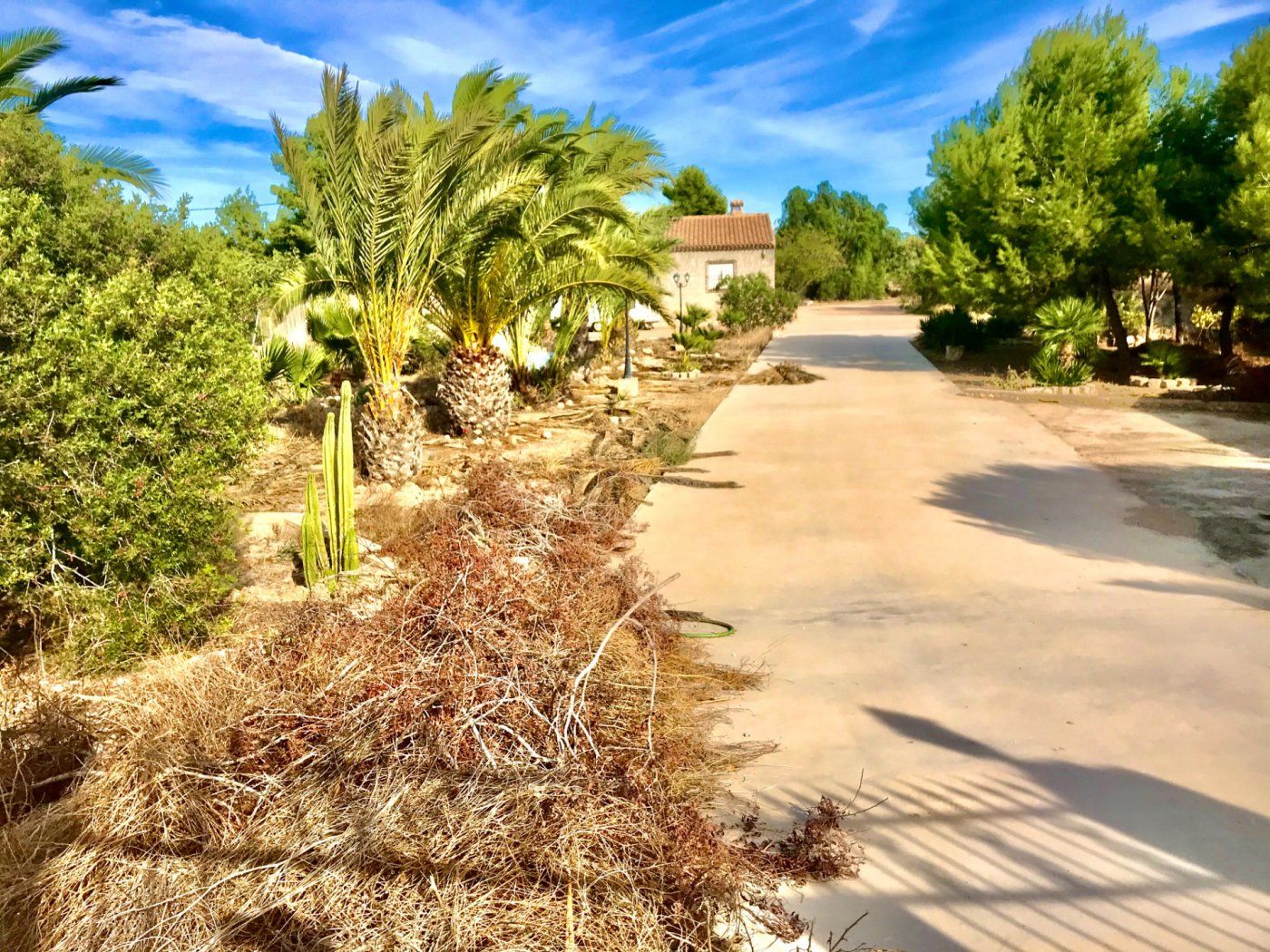 Exterior view of House or chalet for sale in Aspe  with Heating, Private garden and Terrace