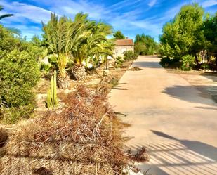 Vista exterior de Casa o xalet en venda en Aspe amb Calefacció, Jardí privat i Terrassa