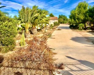 Vista exterior de Casa o xalet en venda en Aspe amb Terrassa i Piscina