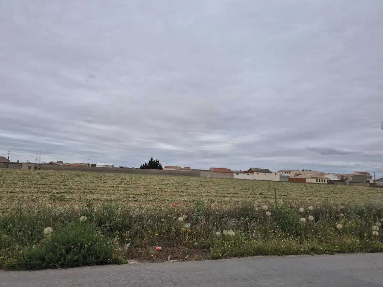 Grundstücke und Bauplätze zum Verkauf in Almendros, imagen 4