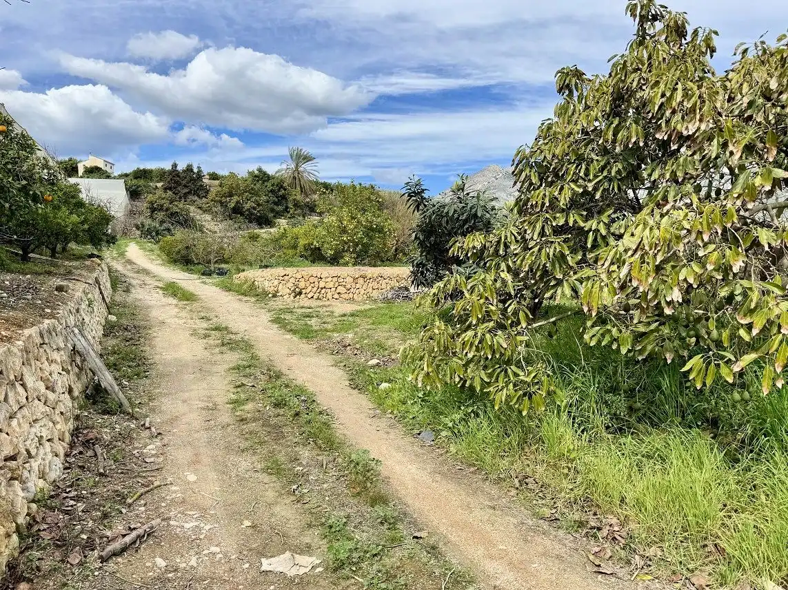 Country homes for sale in Altea la Vella