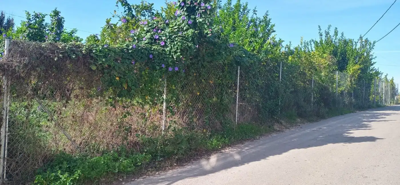 Wohnbaugrundstück zum Verkauf in Pedanías Oeste, imagen 2