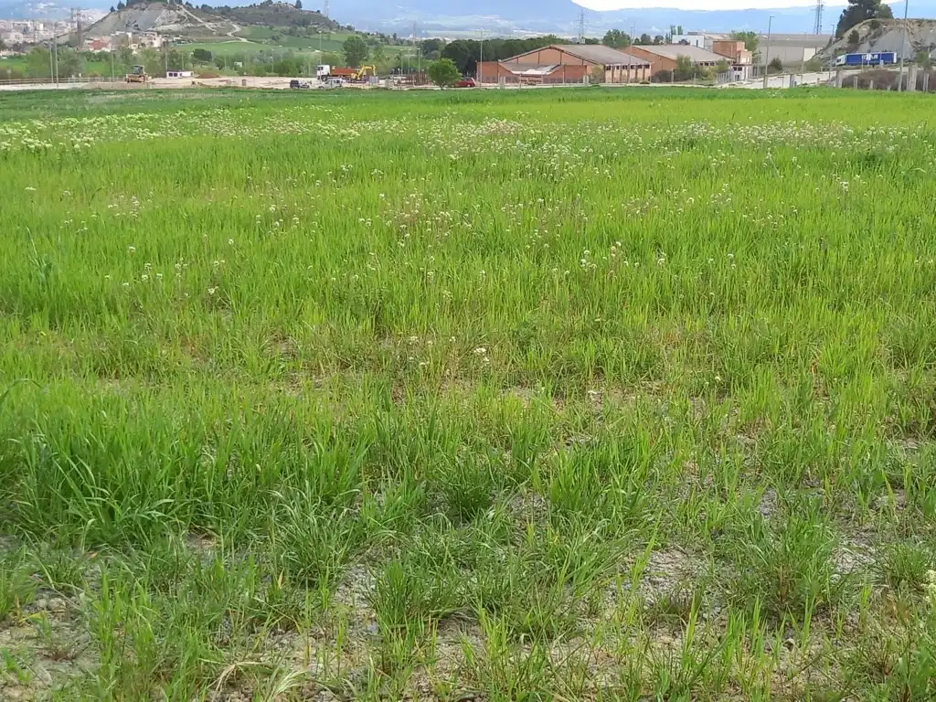 Fabrik Grundstücke zum Verkauf in Santa Margarida de Montbui