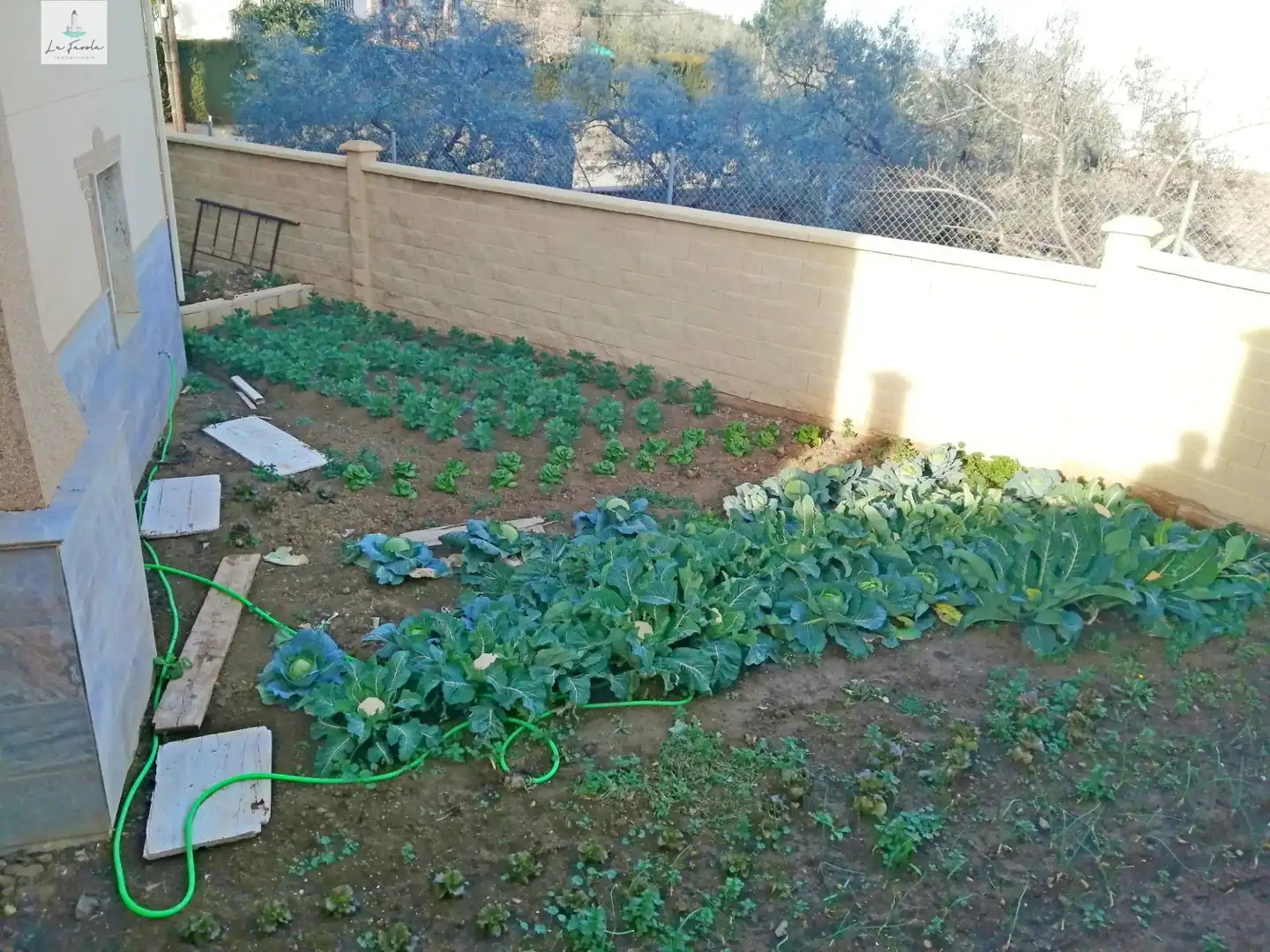 Jardí de Casa o xalet en venda en Loja amb Jardí privat, Terrassa i Traster