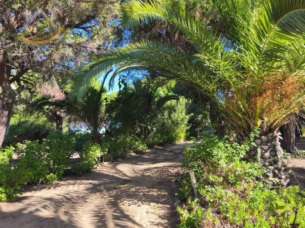 Garten von Grundstücke zum Verkauf in Isla Cristina