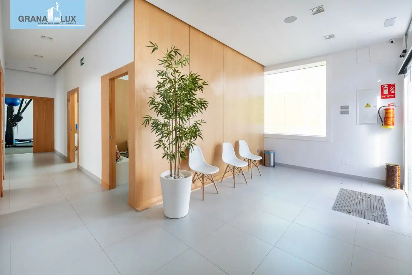 Business premises for sale in Genil, imagen 7