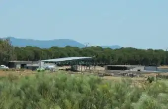 Nave industrial en venta en Almoharín