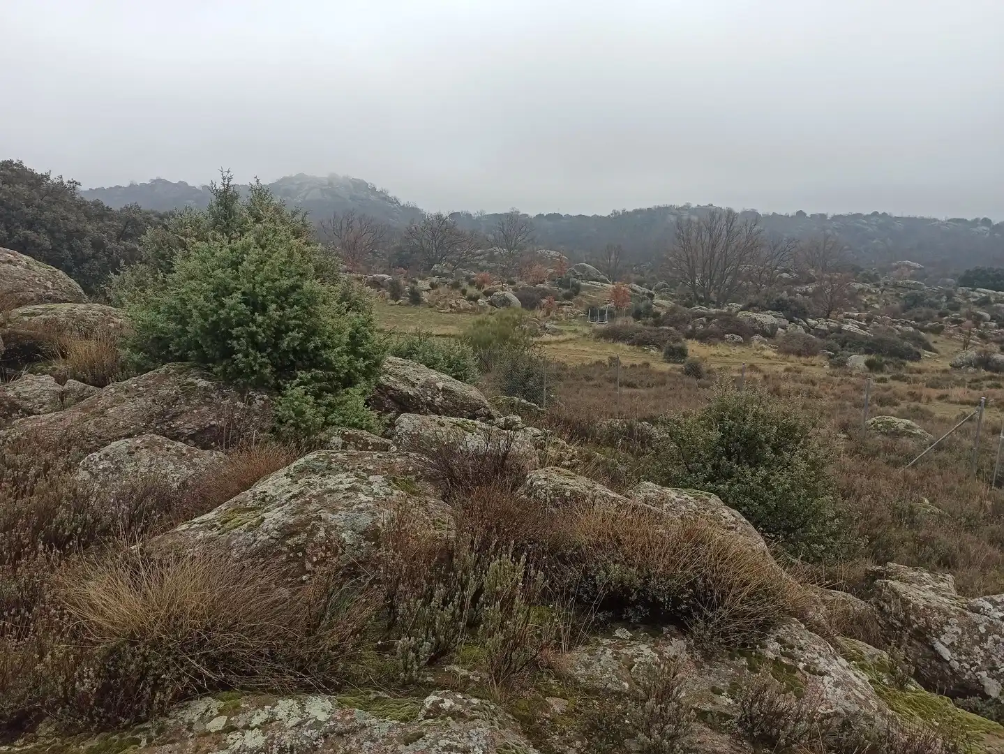 Terreno rustico in vendita a Zarzalejo