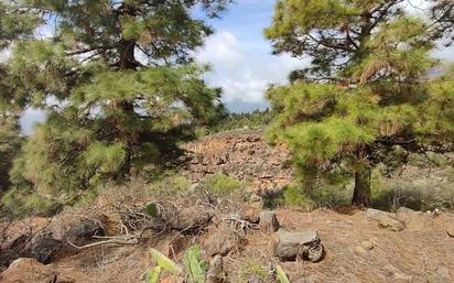 Finca rústica en venda a Araya, Araya