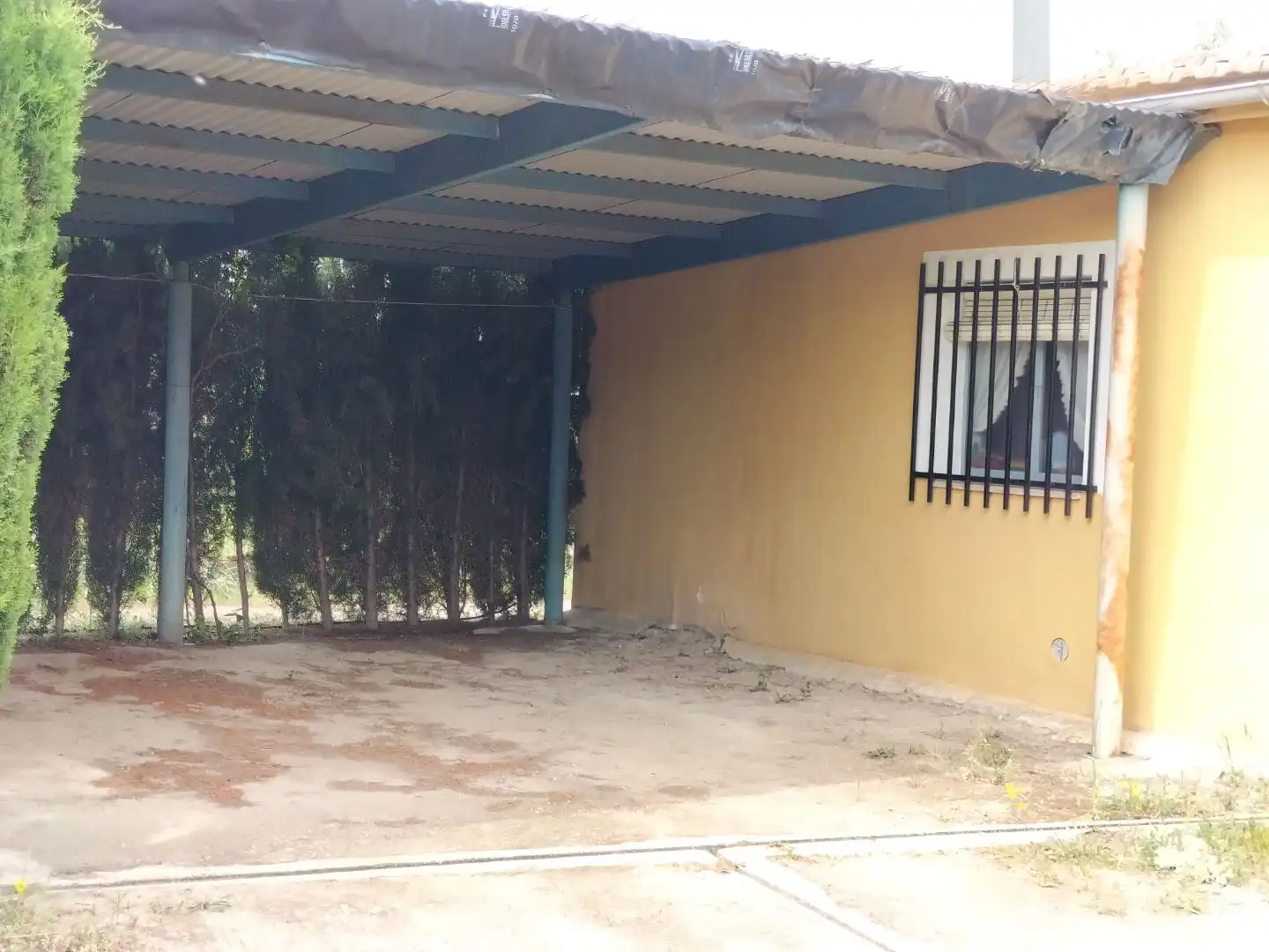 Vista exterior de Casa o xalet en venda en Biar amb Terrassa