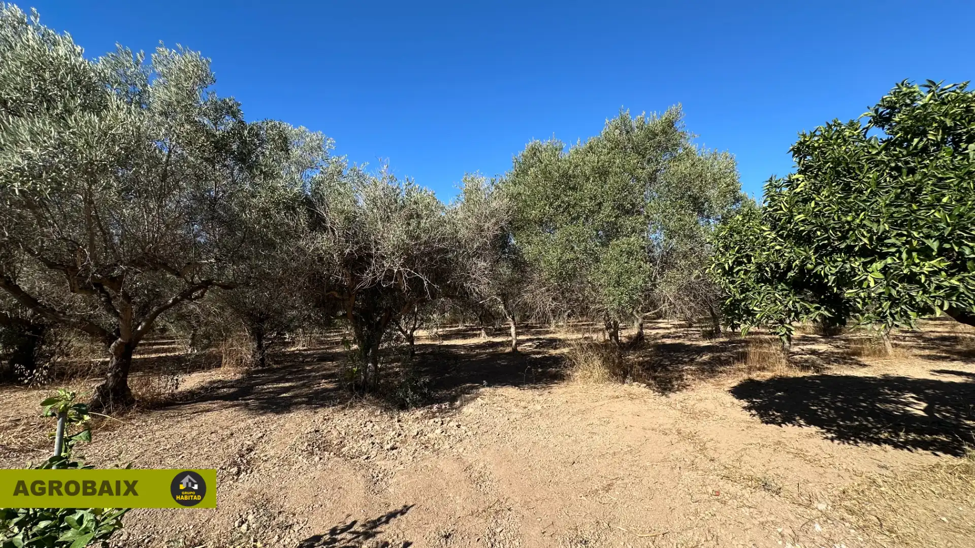 Rural land for sale in BV-2002 114, imagen 25