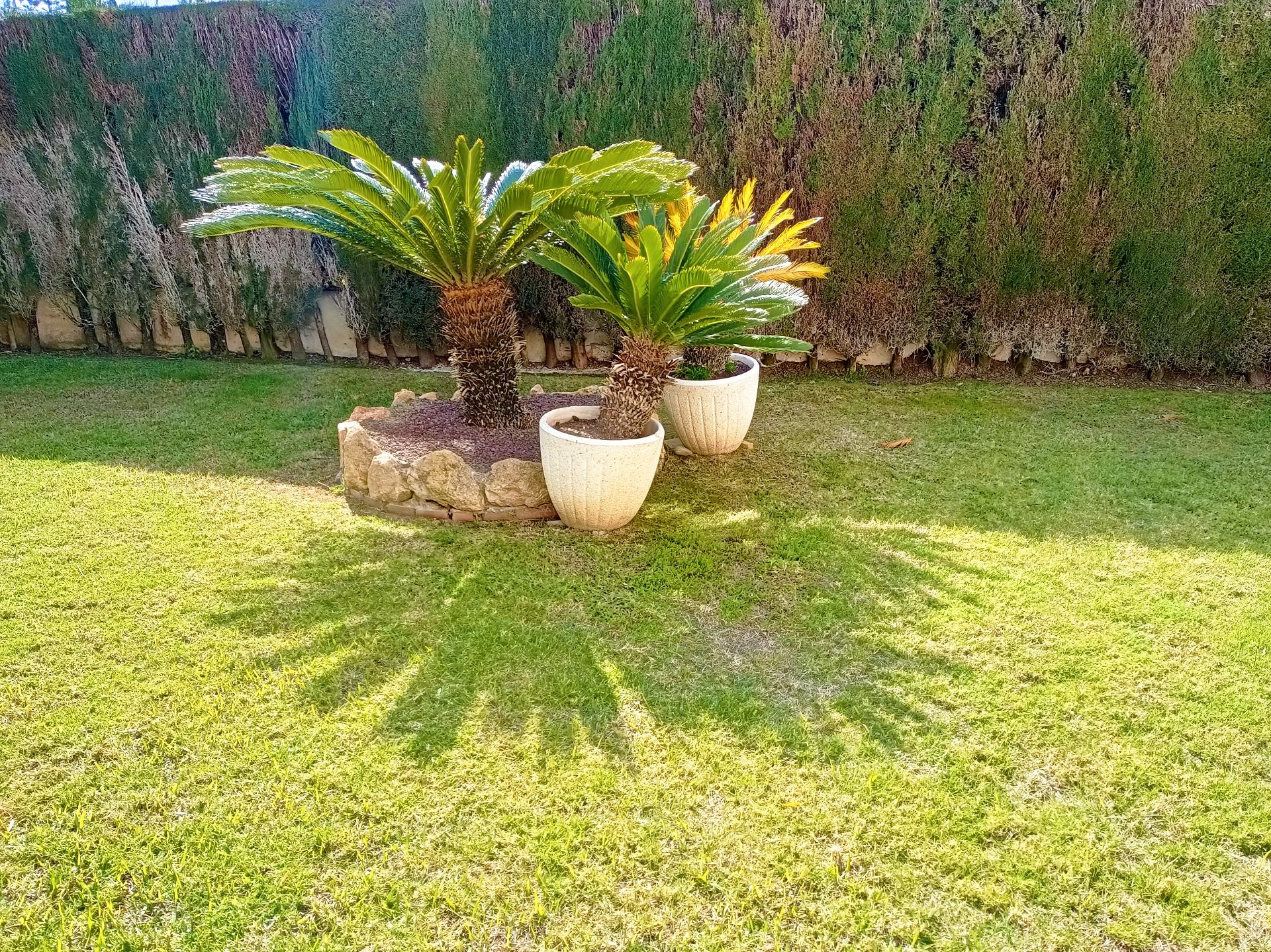 Jardí de Casa adosada en venda en Cambrils amb Aire condicionat, Calefacció i Parquet