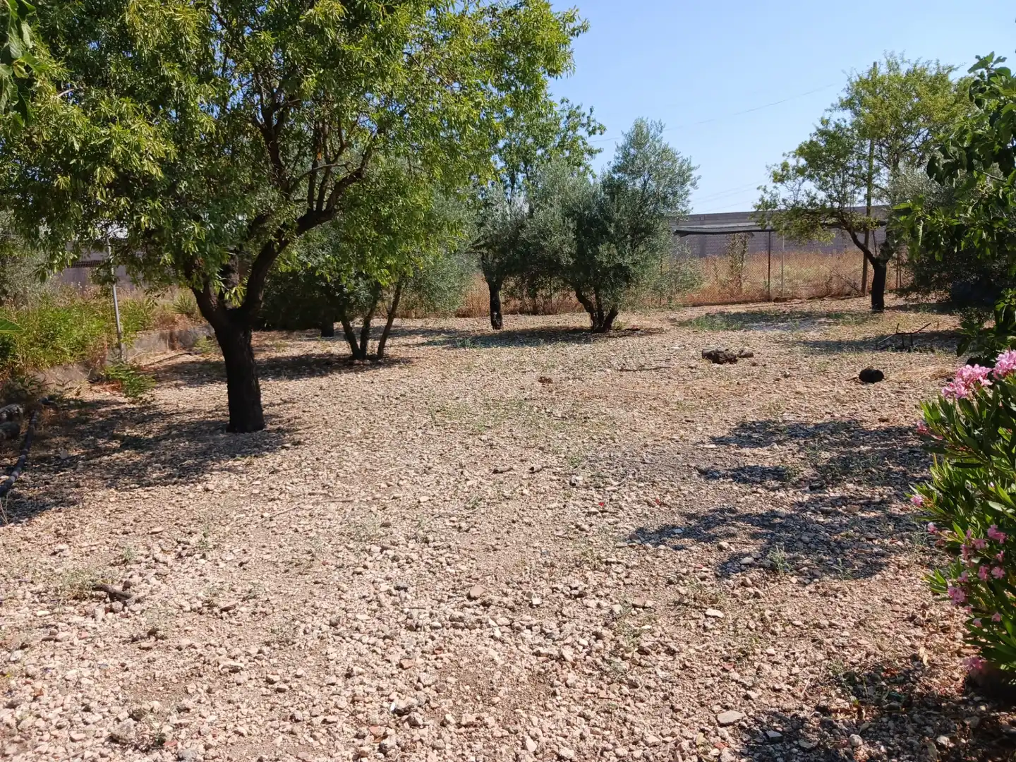 Finca rústica en venta en Ciudad Real con Amueblado