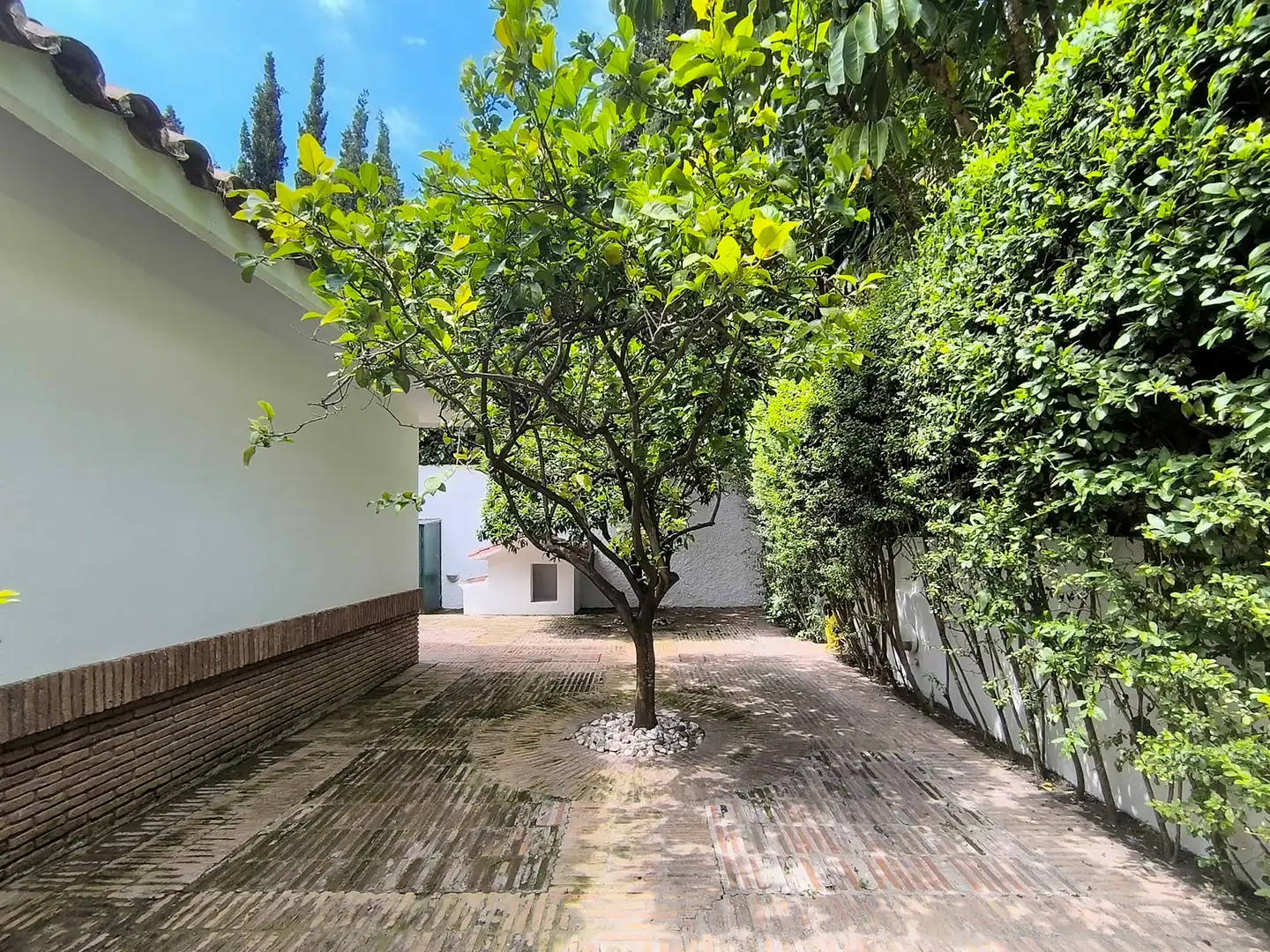 Casa con piscina en venta en Río Real - Los Monteros, imagen 49