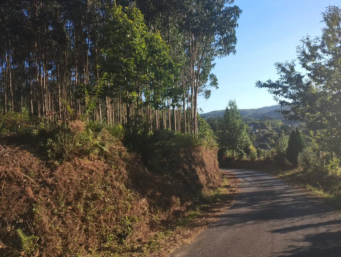 Rural land for sale in Neda