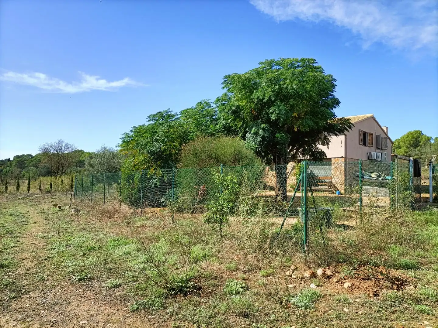 Casa o chalet en venta en Albons