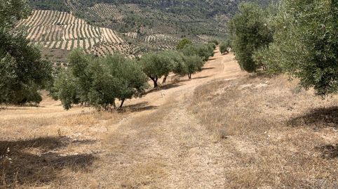 Foto 3 de Terreno en venta en Bedmar y Garcíez, Jaén