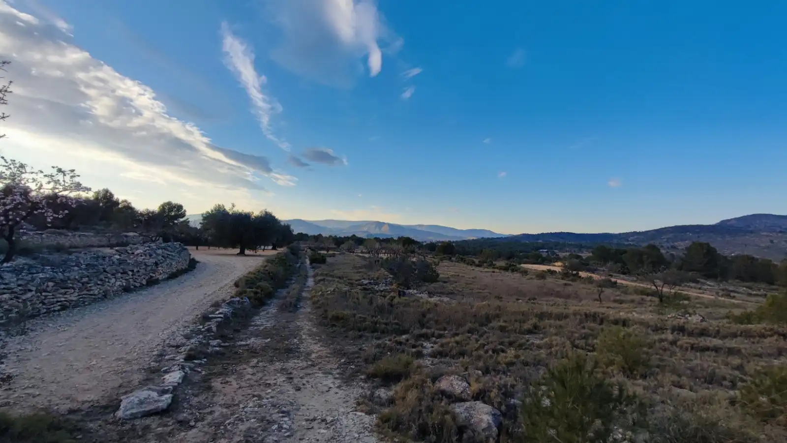 Terreno en venta en Monóvar  / Monòver