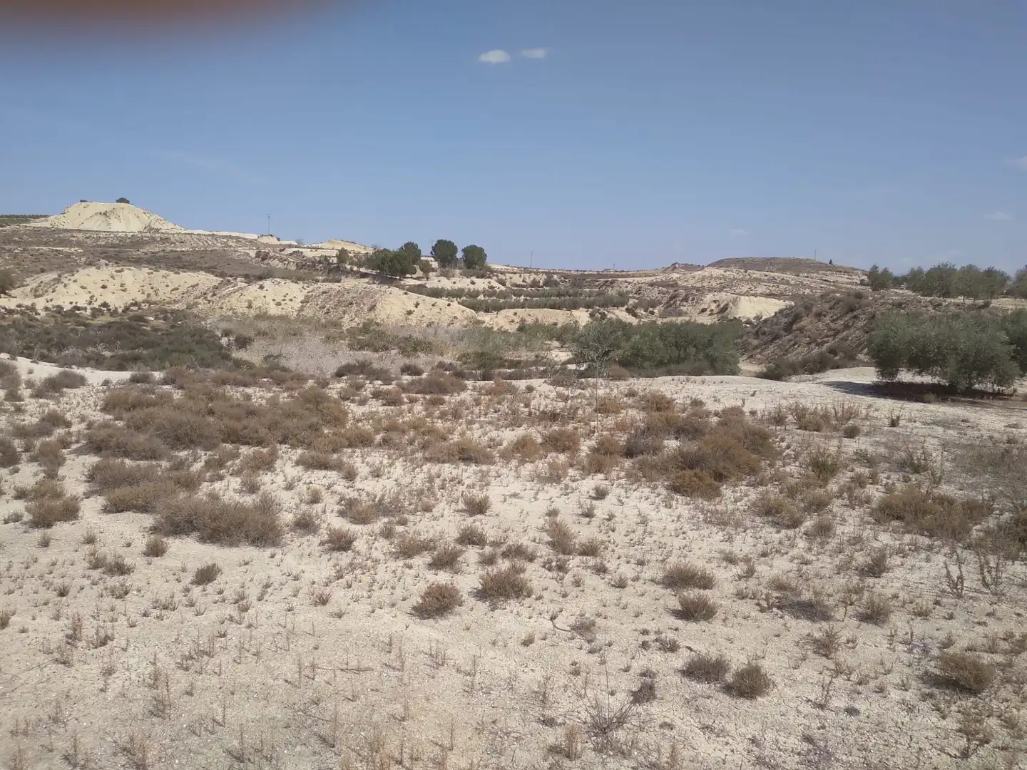 Terreni e lotti in vendita a Campos del Río, imagen 16