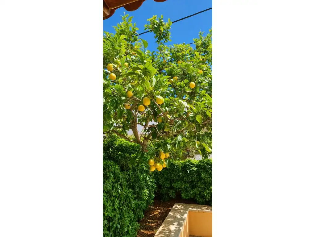 Casa adosada en venta en Calle Orinoco, Jesús