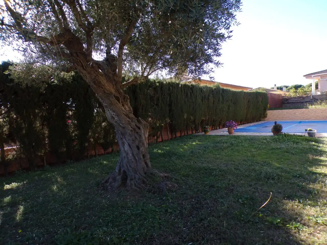 Jardí de Casa o xalet en venda en Tordera amb Calefacció, Jardí privat i Terrassa