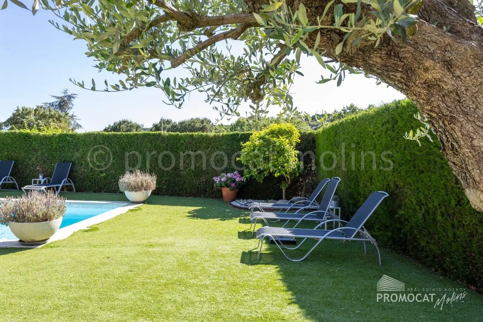 Detached house with pool for sale in RIERA LA, imagen 8