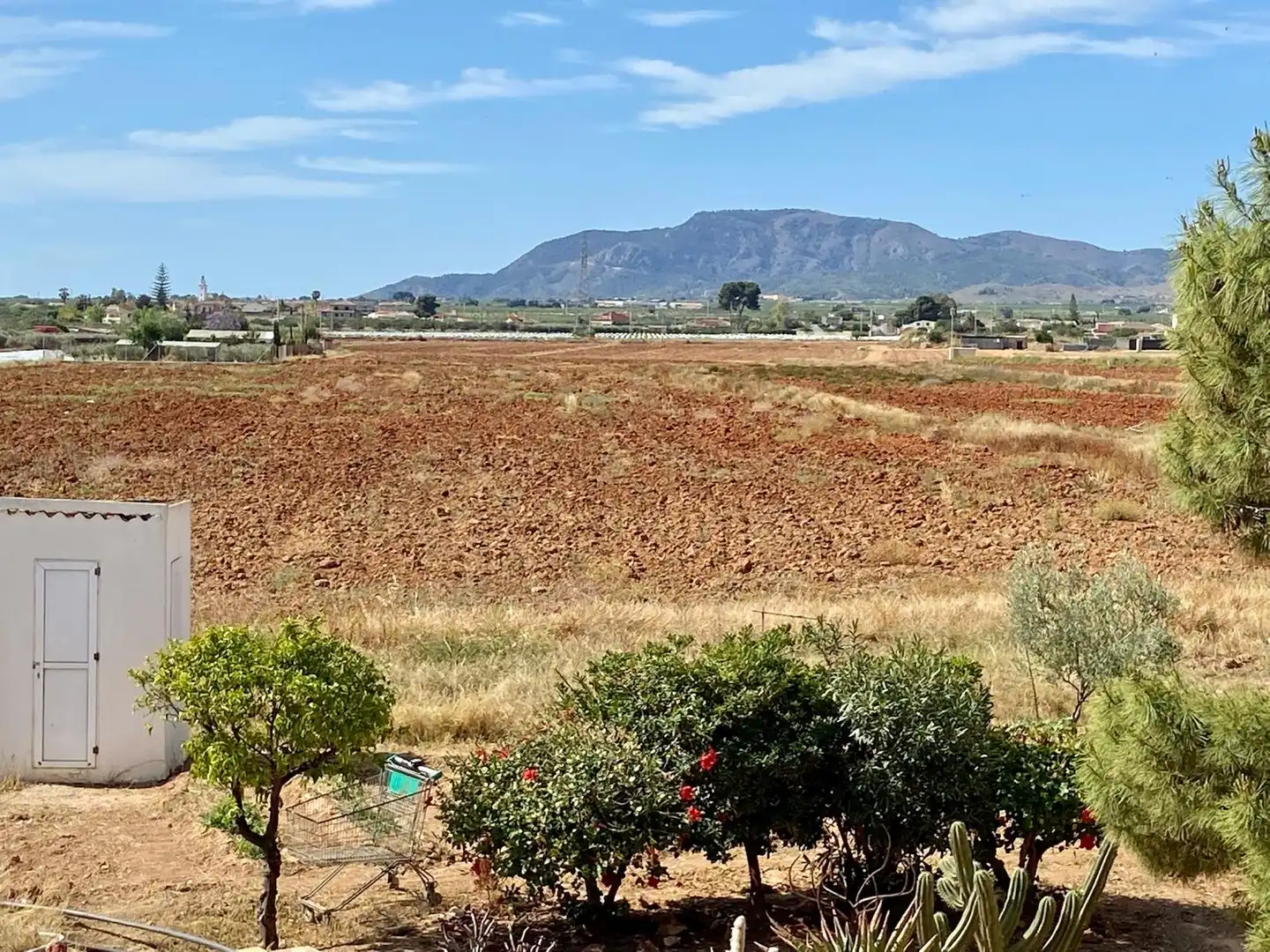 Terreno rústico en venta en Pedanías Oeste, imagen 4