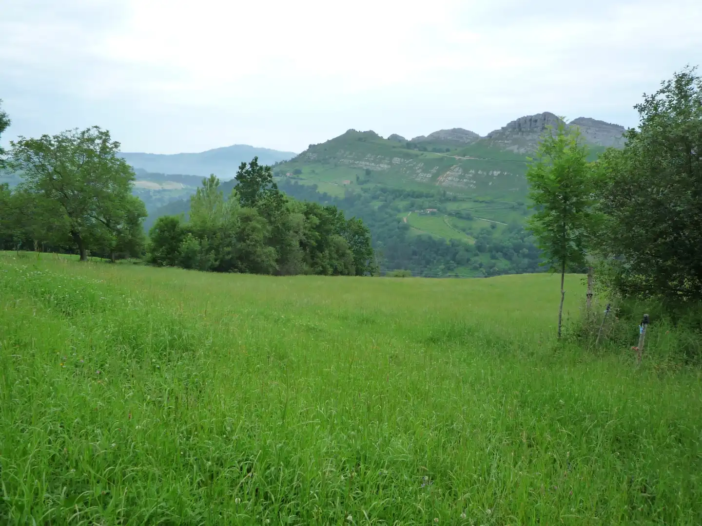 Finca rústica en venta en Liérganes