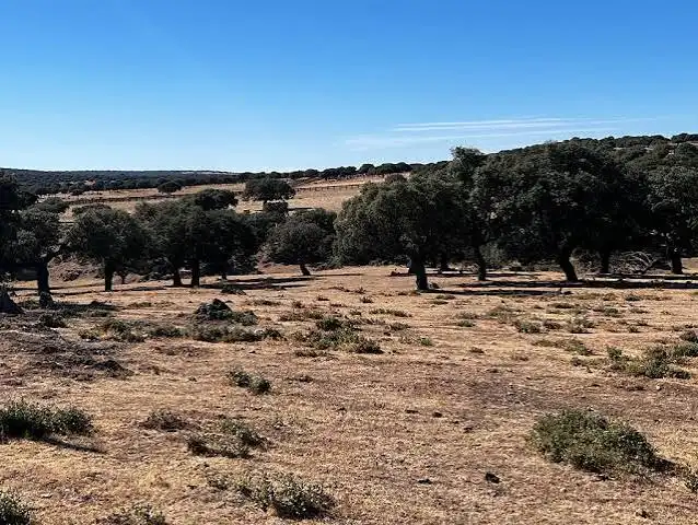 Rural land for sale in Chinchibarra - Capuchinos, imagen 5