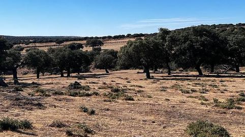Foto 5 de Terreno en venta en Labradores, Salamanca Capital