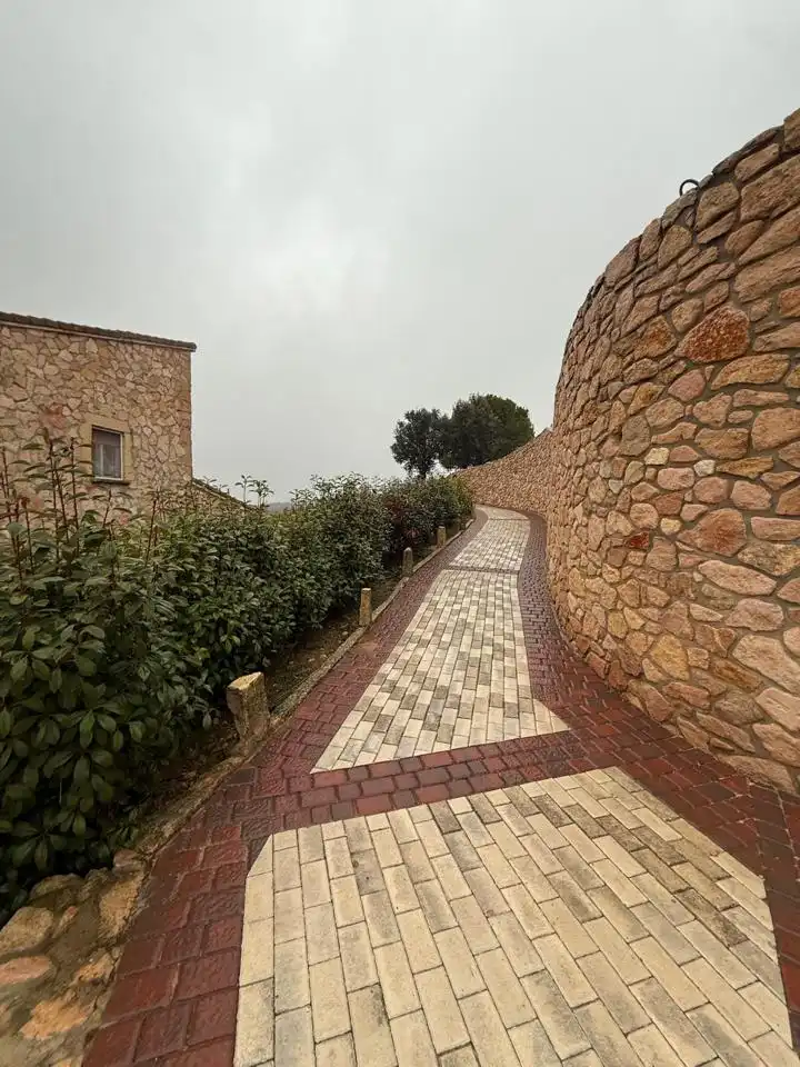 Vista exterior de Casa o chalet en venta en Castillejo de Mesleón con Calefacción, Jardín privado y Terraza