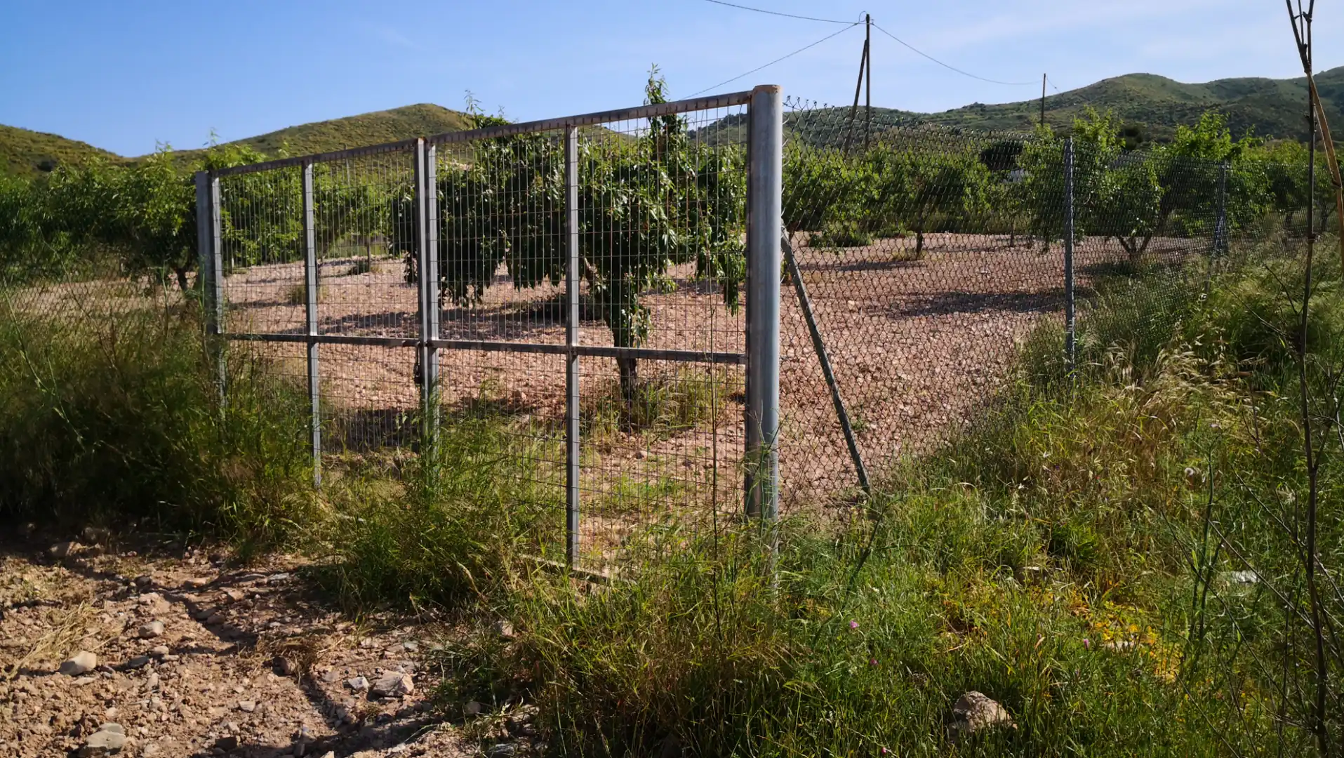 Casa rústica en venta en Pedanías Oeste, imagen 9