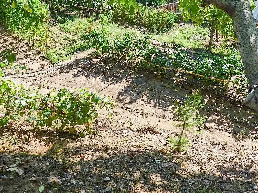 Residential land for sale in Can Rial