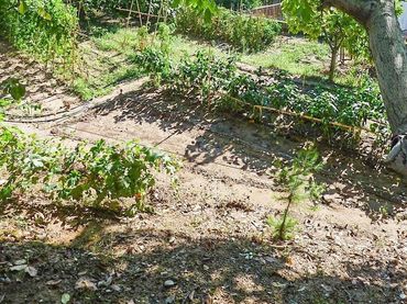Terreny residencial en venda a Can Rial