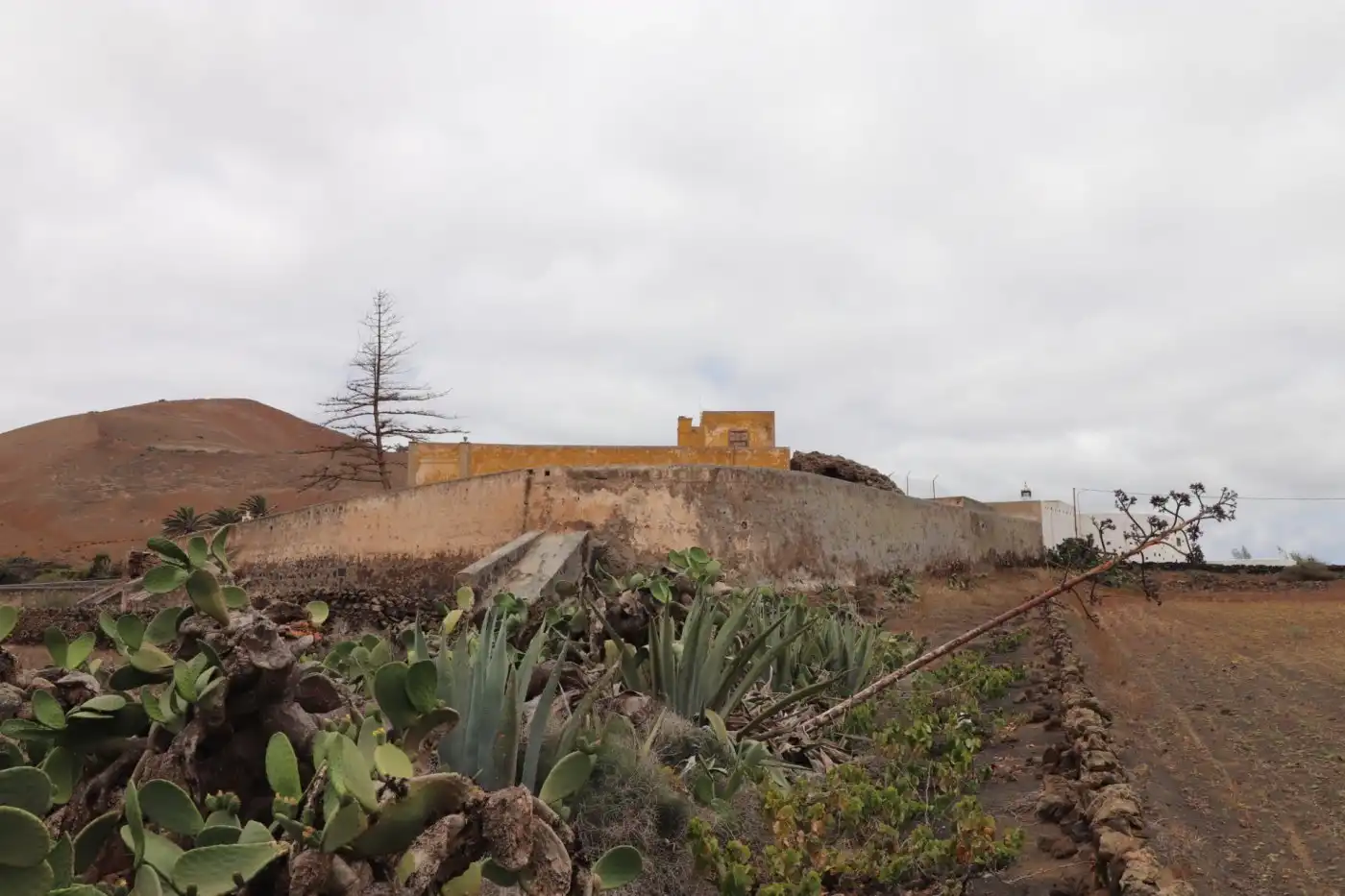 Vista exterior de Casa o chalet en venta en Teguise con Jardín privado, Terraza y Trastero